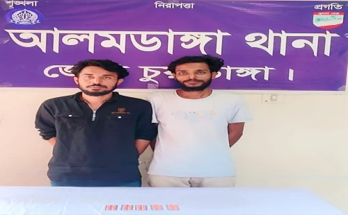 আলমডাঙ্গায় ট্যাপেন্টাডলসহ আটক ২