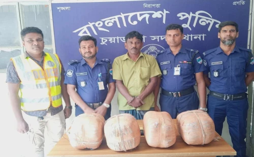 চুয়াডাঙ্গার সুবদিয়ায় ১৬ কেজি গাঁজাসহ মাদক কারবারি গ্রেপ্তার