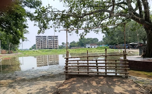 জৌলুস হারাচ্ছে মেহেরপুর পৌর পশুহাট