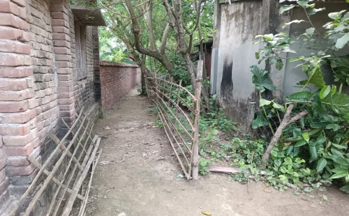জীবননগরে রাস্তা নিয়ে হয়রানির অভিযোগ