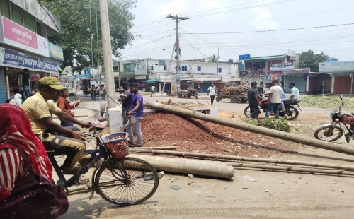দর্শনায় হালকা ঝড়ে লুটিয়ে পড়ল শতবর্ষী বটগাছ