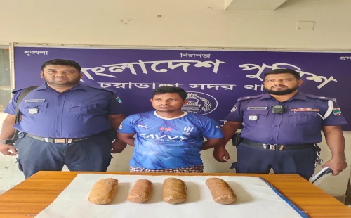 চুয়াডাঙ্গায় দুই কেজি গাঁজাসহ মাদক ব্যবসায়ী গ্রেপ্তার