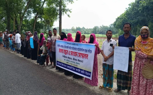 ঝিনাইদহে তিন ফসলির জমিতে অটোরাইস