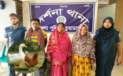 দর্শনায় হাঁস-মুরগি চুরির সময় নারীসহ ৩ জন আটক