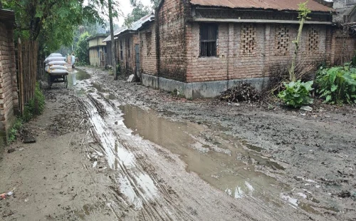 দর্শনার পরানপুর-রেলগেট সড়কের বেহাল, দুর্ভোগে শিক্ষার্থী ও এলাকাবাসী