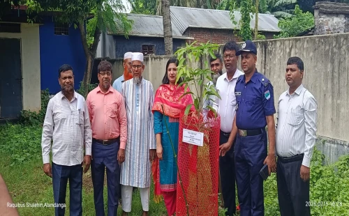 আলমডাঙ্গায় প্রাথমিক শিক্ষা পদক অনুষ্ঠান সম্প্রচার ও বৃক্ষরোপণ কর্মসূচির উদ্বোধন