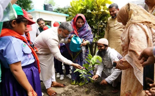 চুয়াডাঙ্গায় জাতীয় প্রাথমিক শিক্ষা পদক প্রদান অনুষ্ঠান সরাসরি সম্প্রচার উপভোগ ও বৃক্ষরোপণ কর্মসূচি