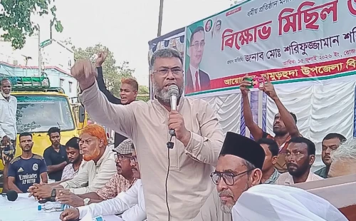 দামুড়হুদায় বিএনপির বিক্ষোভ মিছিল ও সমাবেশে শরীফুজ্জামান শরীফ