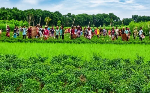 আলমডাঙ্গার কেশবপুর চরের মাঠে দুই পক্ষের সংঘর্ষের আশঙ্কা