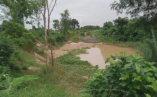 দামুড়হুদার কাদিপুরে মাটি-বালু উত্তোলনে ফসলি জমির ভাঙন