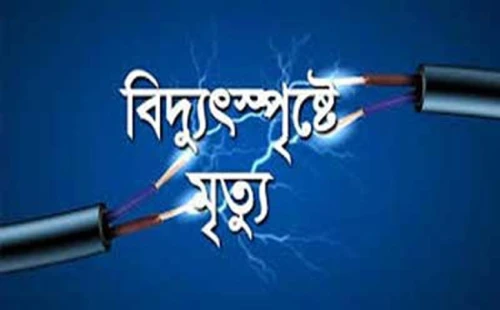 মেহেরপুরে বিদ্যুতস্পৃষ্টে কৃষকের মৃত্যু
