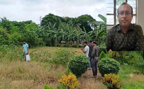 কালীগঞ্জে সরকারি হাসপাতালের ডিউটি ফেলে কৃষিজমিতে চিকিৎসক