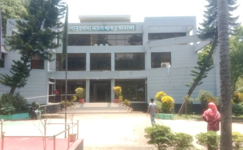 দামুড়হুদার গোপালপুর থেকে গরু চুরি
