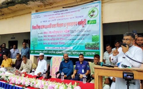 আলমডাঙ্গায় বালিকা বিদ্যালয়ে বৃক্ষরোপণ কর্মসূচি