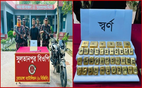 ১৩ কোটি টাকার স্বর্ণসহ পাচারকারী আটক