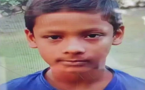 আলমডাঙ্গায় ঘুমের মধ্যে সাপের কামড়ে স্কুলছাত্রের মৃত্যু