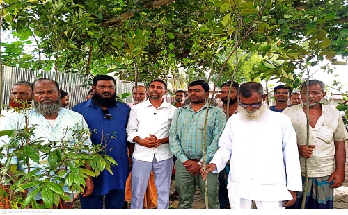 কুড়ুলগাছির ধান্যঘরায় নষ্ট চারা বদলে পুনরায় চারা বিতরণ