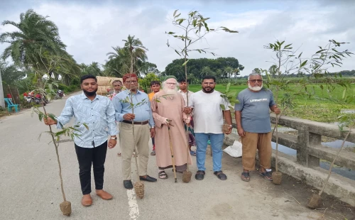 উথলী সূর্য তোরণ ক্লাবের উদ্যোগে বৃক্ষরোপণ
