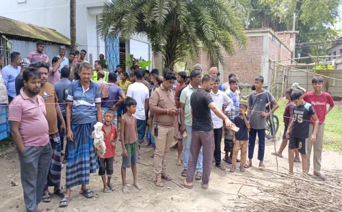 গাংনীর বেতবাড়িয়ায় পরিত্যক্ত জমিতে একাধিক মাইনসদৃশ বস্তুর সন্ধান, ঘিরে রেখেছে পুলিশ