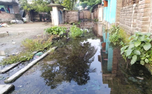 দর্শনা পৌরসভার পরানপুরে দুই বছর ধরে জলাবদ্ধতা