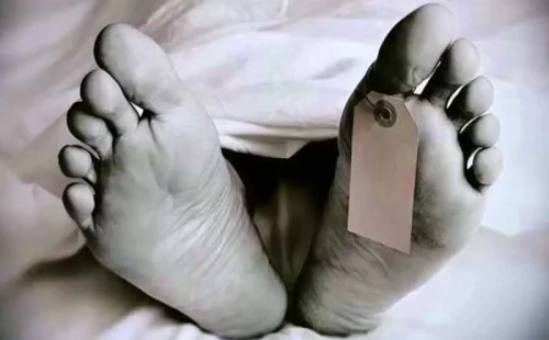 দামুড়হুদায় স্ট্রোক করে পাখি ভ্যান থেকে পড়ে চালকের মৃত্যু