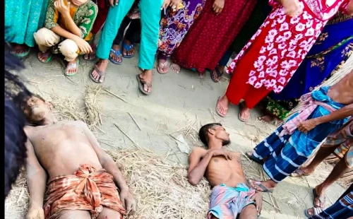 কালীগঞ্জে গরু চুরি করতে গিয়ে জনতার হাতে আটক ২