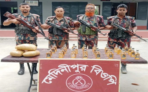 জীবননগর সীমান্তে বিজিবির অভিযানে মদ-গাঁজা ও ইলিশ মাছ জব্দ