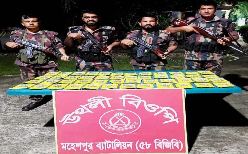 চুয়াডাঙ্গা ৬ বিজিবির চোরাচালান ও মাদকবিরোধী অভিযান