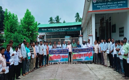 মেহেরপুরে পদমর্যাদা ও গ্রেড অবনমনের প্রতিবাদে বিএডিসির কর্মচারীদের অবস্থান কর্মসূচি
