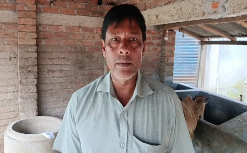 হাটবোয়ালিয়ায় গোয়ালঘর থেকে গরু চুরি
