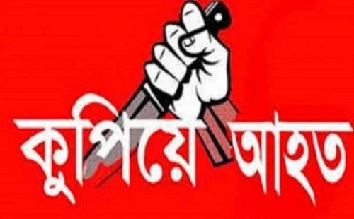 আলমডাঙ্গার মাজহাটে টিকটক করা নিয়ে বিরোধ