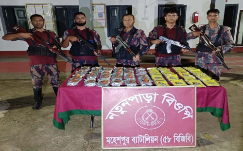 জীবননগর ও মহেশপুর সীমান্তে ভারতীয় সিরাপ, মদ ও কীটনাশকসহ আটক ২
