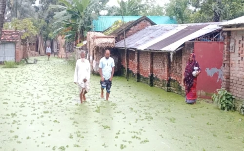 মুজিবনগরে বর্ষায় জলাবদ্ধতায় দুর্ভোগে শতাধিক পরিবার