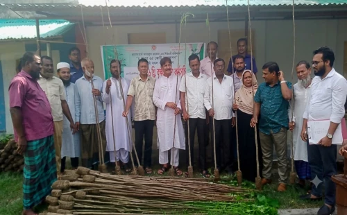 দামুড়হুদার হাউলী ইউনিয়নে গাছের চারা বিতরণ
