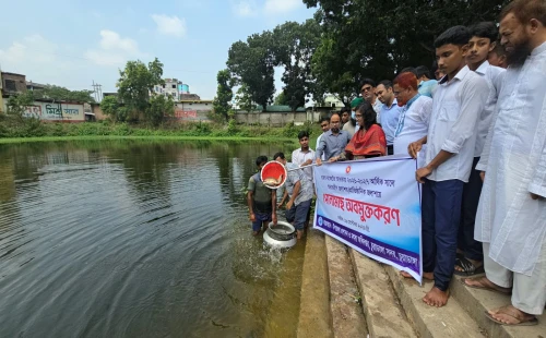 সরোজগঞ্জ উচ্চ বিদ্যালয়ের পুকুরে মাছের পোনা অবমুক্ত