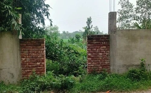 কোটচাঁদপুরের কুশনা ইউনিয়ন ভুমি সহকারী কর্মকর্তার বিরুদ্ধে তদন্তে অনিয়মের অভিযোগ