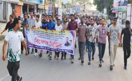 দর্শনায় ছাত্রদলের বিক্ষোভ মিছিল