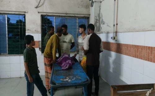 চুয়াডাঙ্গায় পাখিভ্যান ও পিকআপের মুখোমুখি সংঘর্ষ