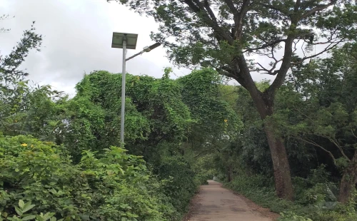 সড়কের পাশে সোলার লাইট অধিকাংশই অকেজো