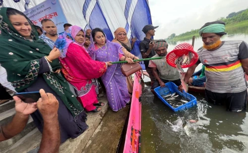 মেহেরপুরে ভৈরব নদে মাছের পোনা অবমুক্তকরণ