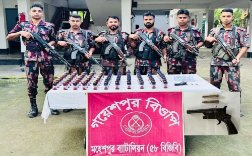 জীবননগর গয়েশপুর সীমান্তে দেশি পিস্তল, গুলি ও মাদক উদ্ধার