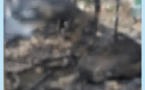 দামুড়হুদায় আগুনে ১৫ বিঘা জমির পাটখড়ি পুড়ে ছাই