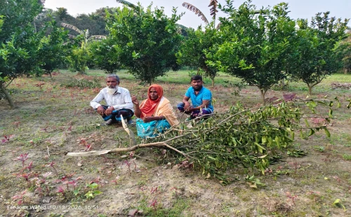 জীবননগরের মাধবখালী ছটাঙ্গা পাড়ায় কৃষকের জমি দখলচেষ্টা ও