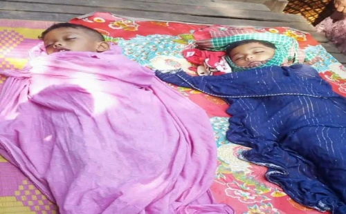 মহেশপুরে পানিতে ডুবে  ভাই-বোনের মৃত্যু