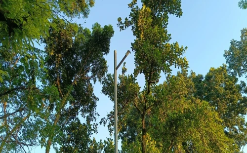 কার্পাসডাঙ্গা-মুজিবনগর সড়কের ল্যাম্পপোস্টের লাইট উধাও