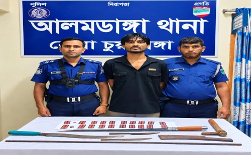 আলমডাঙ্গায় ২০৩টি ট্যাপেন্টাডল ও ছয়টি দেশীয় অস্ত্র উদ্ধার