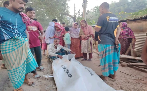 চুয়াডাঙ্গায় গরু বোঝাই লাটাহাম্বার উল্টে খাদে