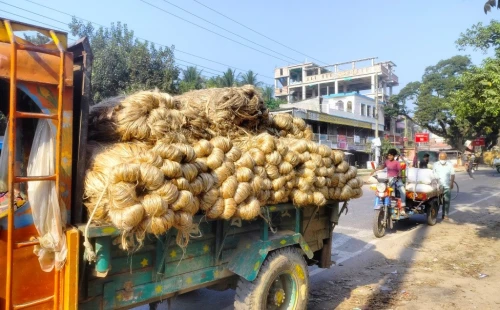 সরোজগঞ্জ বাজারে পাটের দাম ৫ হাজার টাকা মণ
