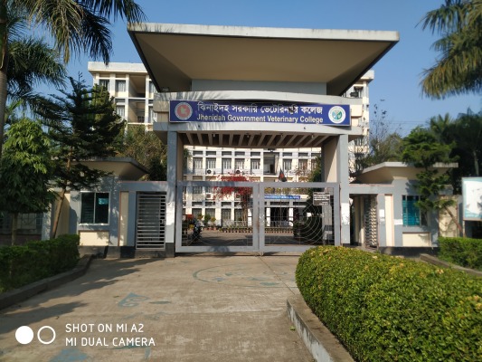 ঝিনাইদহ সরকারি ভেটেরিনারি কলেজের গাছ কাটার অভিযোগ
