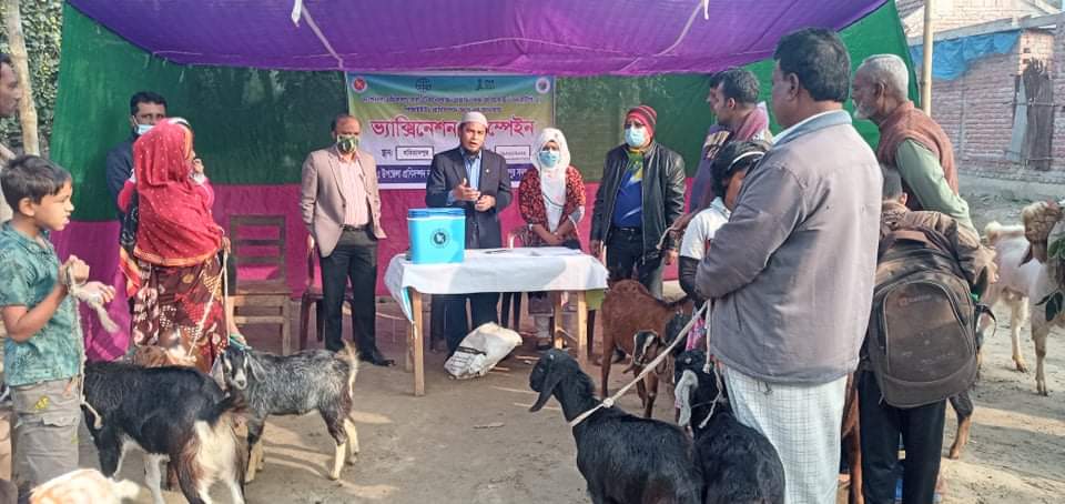 মেহেরপুরে পশুর ভ্যাকসিনেশন কার্যক্রমের উদ্বোধন